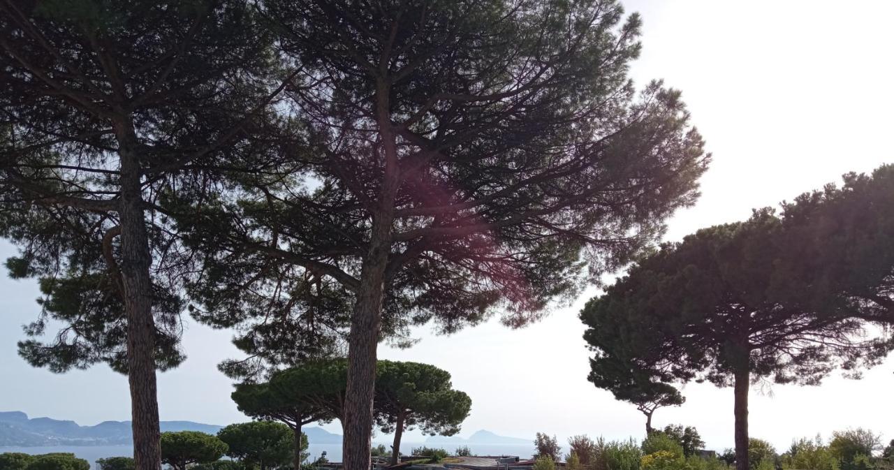 Vesuvio Casa De Charme Bed & Breakfast Trecase Exterior foto